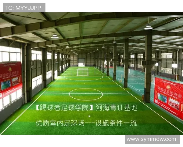 南京足球队耐力分析与训练方法探讨提升球队竞技水平的关键因素