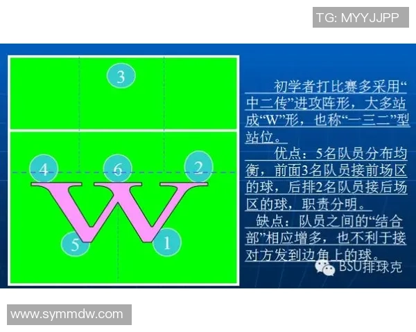 上海排球队中路突破战术解析与实战应用研究