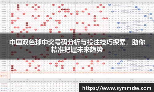 中国双色球中奖号码分析与投注技巧探索，助你精准把握未来趋势